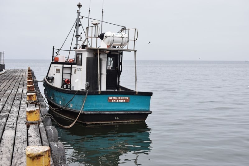 #BizTrends2019: In praise of the pilchard; the delights of unfashionable fish